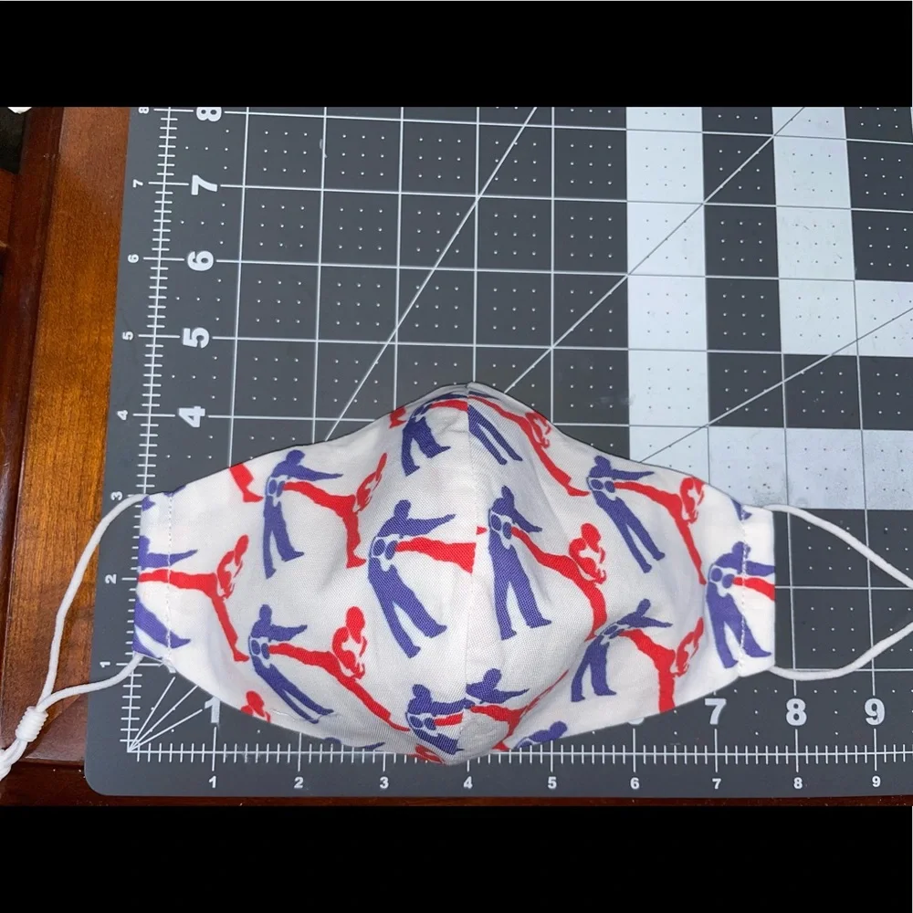 Martial arts facemask taekwondo